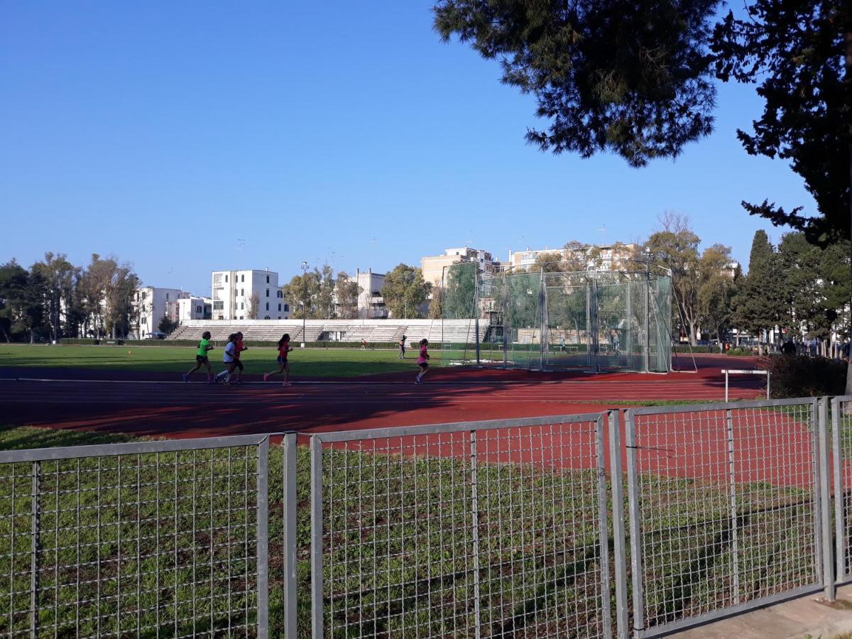 Park Apartment