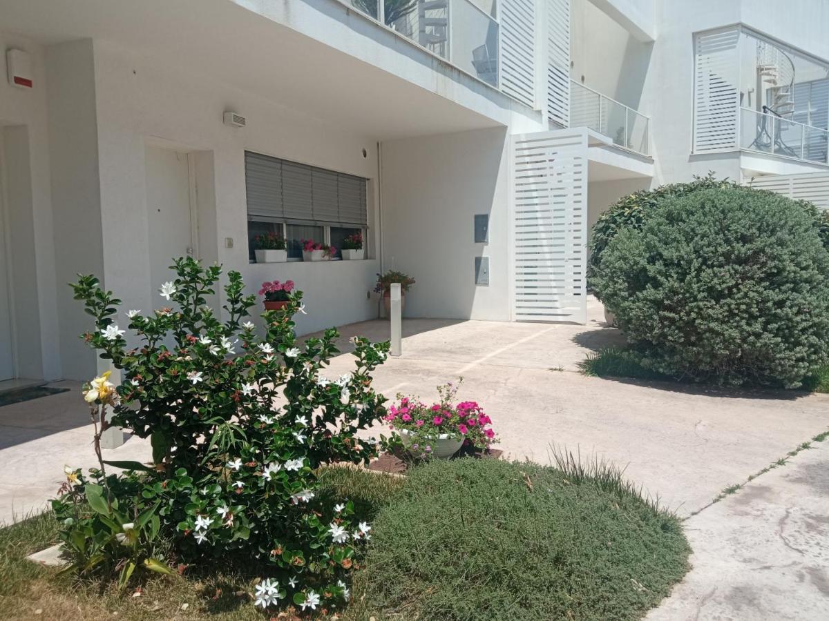 Park Apartment *